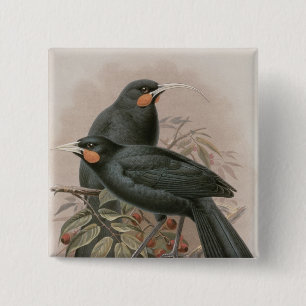 Bóton Quadrado 5.08cm Huia