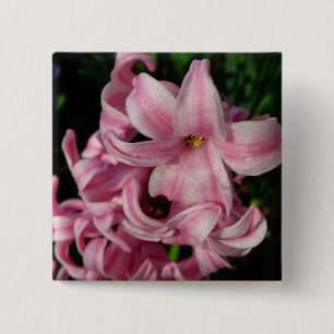 Bóton Quadrado 5.08cm Hyacinth Primavera Floral rosa