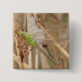 Bóton Quadrado 5.08cm I1 Dragonfly Verde