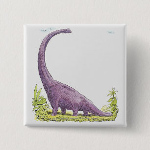 Bóton Quadrado 5.08cm Ilustração do dinossauro de Giraffatitan