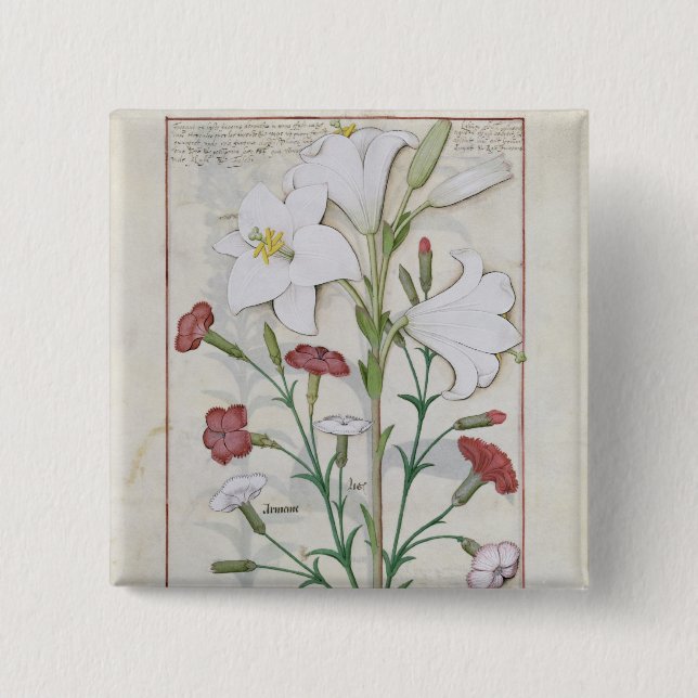 Bóton Quadrado 5.08cm Ilustração 'do livro de simples (Frente)