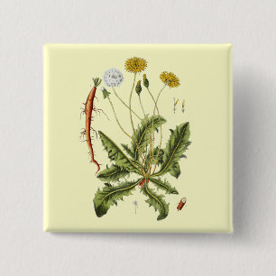 Bóton Quadrado 5.08cm Ilustração Vintage Dandelion