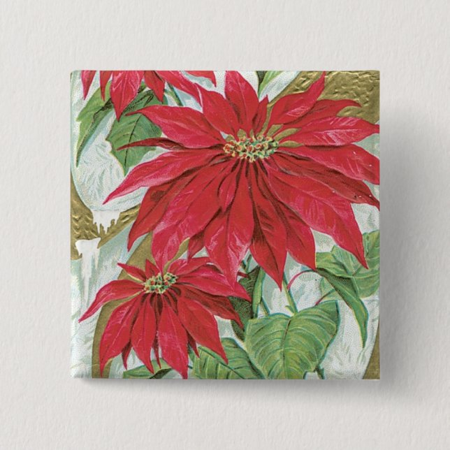 Bóton Quadrado 5.08cm Ilustração Vintage Poinsettia. (Frente)