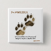 I'm Pawsessed! pin