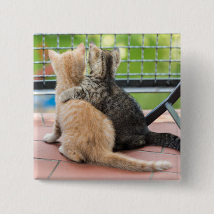 Bóton Quadrado 5.08cm Imagens de Getty   dois gatinhos em um balcão