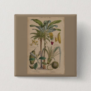 Bóton Quadrado 5.08cm Impressão de Botânica Antiquado - Fruta Tropical