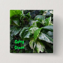 Bóton Quadrado 5.08cm Indo às plantas da casa verde