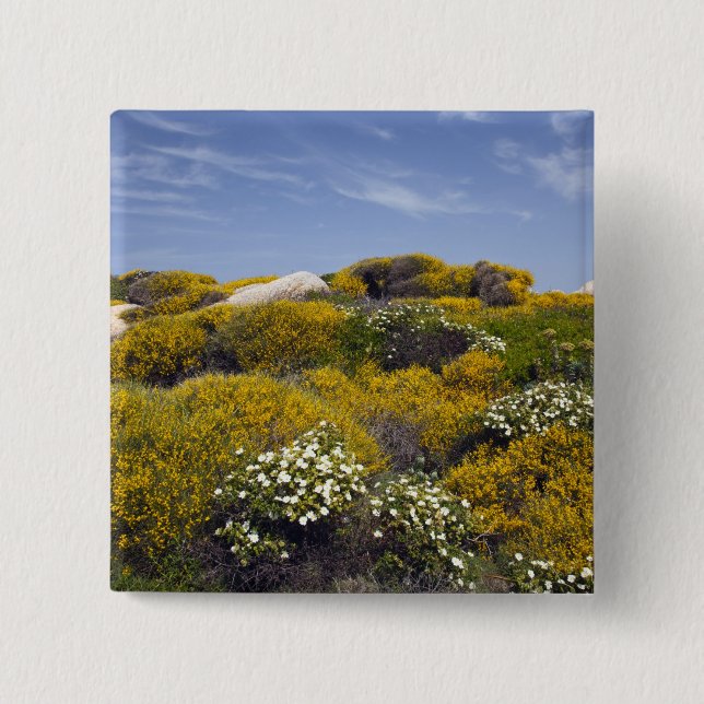 Bóton Quadrado 5.08cm Itália, Sardenha, Papais noeis Teresa Gallura. Cap (Frente)