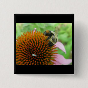 Bóton Quadrado 5.08cm Itens de Abelhas do Coneflower e do Carpinteiro Or