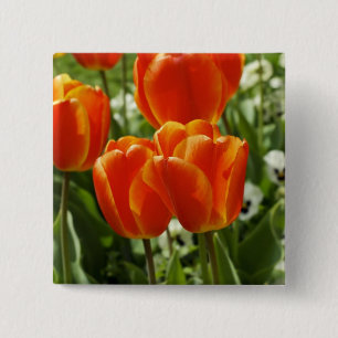 Bóton Quadrado 5.08cm Jardim de Tulipas da Primavera