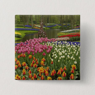 Bóton Quadrado 5.08cm Jardim de tulipas e jacintos, Jardins Keukenhof,