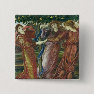 Bóton Quadrado 5.08cm Jardim do Hesperides, 1869-73