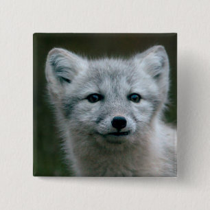 Bóton Quadrado 5.08cm Jogo do Fox ártico das imagens de Getty
