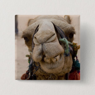 Bóton Quadrado 5.08cm Jordânia, antiga cidade nabatiana de Petra. Local