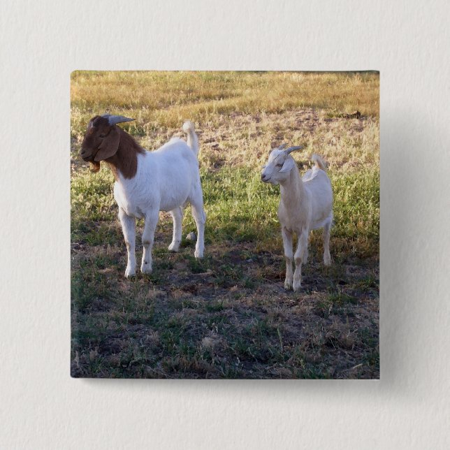 Bóton Quadrado 5.08cm July2008_TwoGoats_v2 (Frente)