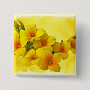 Bóton Quadrado 5.08cm Kalanchoe Amarelo - Sol Suculente
