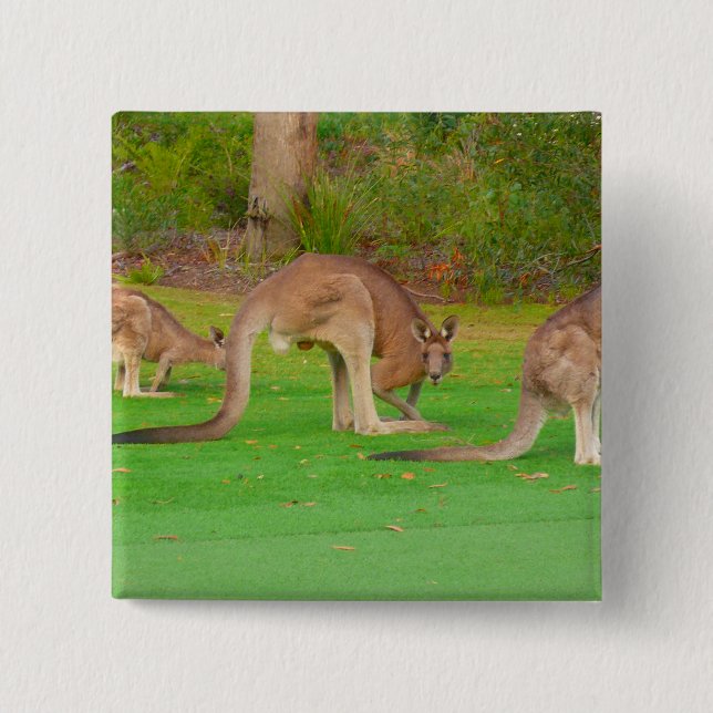 Bóton Quadrado 5.08cm kanga (Frente)