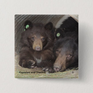 Bóton Quadrado 5.08cm Kapiolani e sombra - botão quadrado