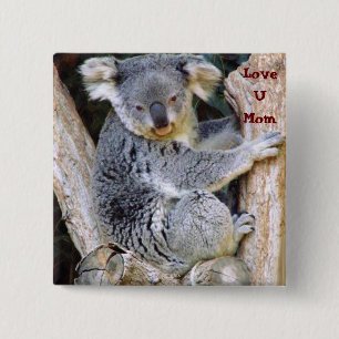 Bóton Quadrado 5.08cm Koala Bear Love