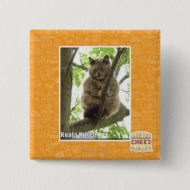 Bóton Quadrado 5.08cm Koala Kitteh (Frente)