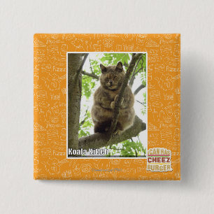 Bóton Quadrado 5.08cm Koala Kitteh