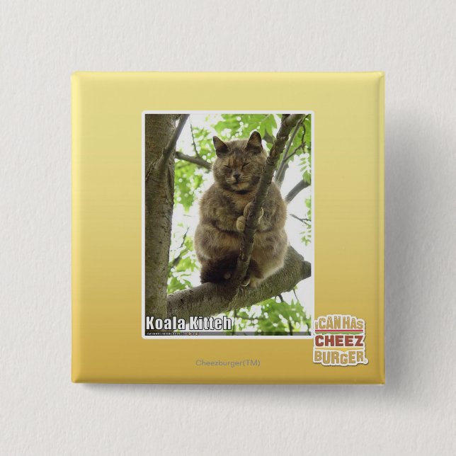 Bóton Quadrado 5.08cm Koala Kitteh (Frente)