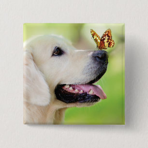 Bóton Quadrado 5.08cm Labrador E Travesseiro decorativo De Borboleta