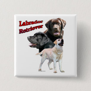 Bóton Quadrado 5.08cm Labrador Retriever Trio 2 - Botão