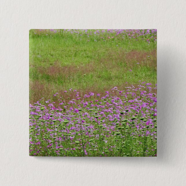 Bóton Quadrado 5.08cm Lace Daucus carota da Rainha Anne) (Frente)