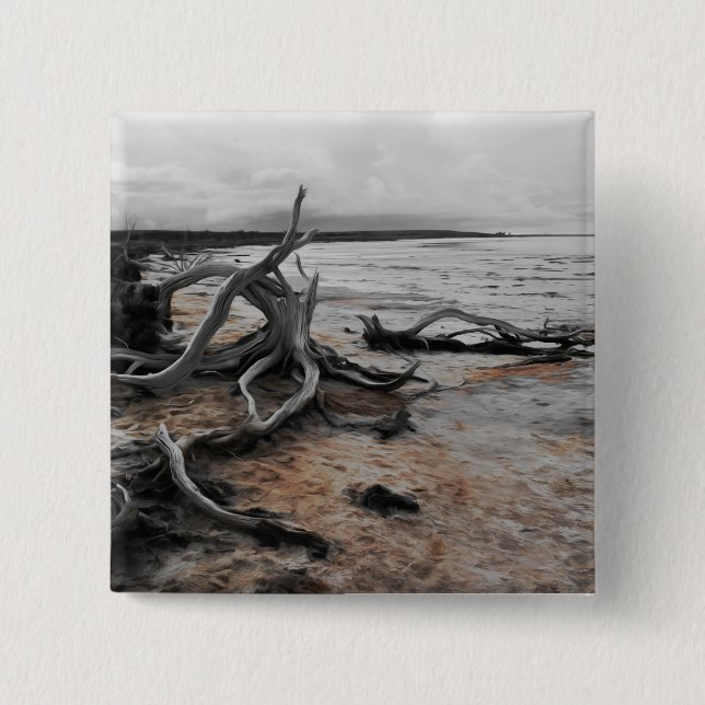 Bóton Quadrado 5.08cm Lago Tyrrell Natural Forces (Frente)