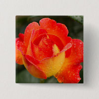 Laranja Rosa Floral