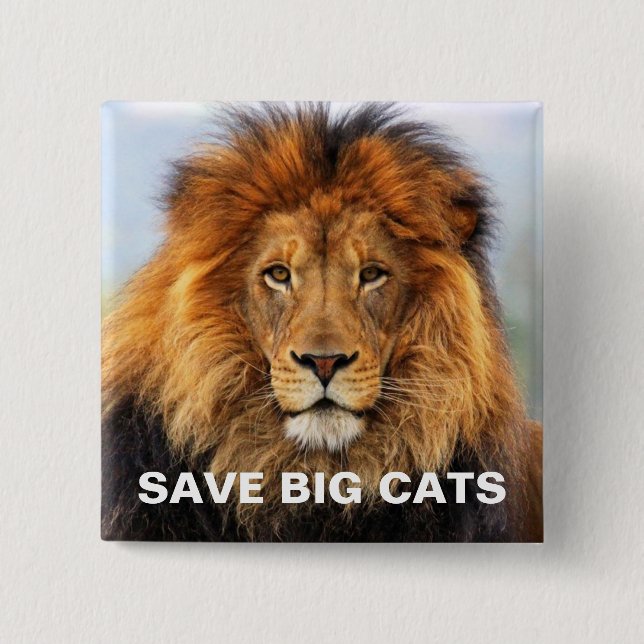 Bóton Quadrado 5.08cm Leão Africano 1 (Frente)