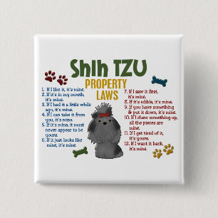 Bóton Quadrado 5.08cm Leis 4 da propriedade de Shih Tzu