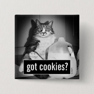Bóton Quadrado 5.08cm Leite De Bebendo De Gato De Jug