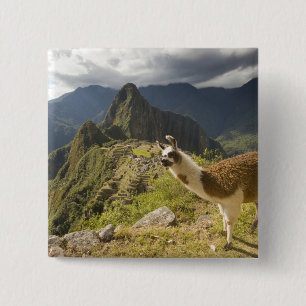 Bóton Quadrado 5.08cm Lhamas e uma vista geral de Machu Picchu,