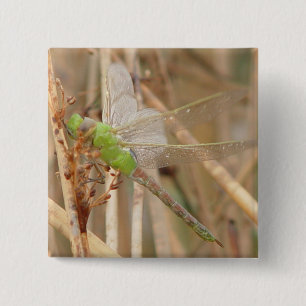 Bóton Quadrado 5.08cm Libélula Verde I1