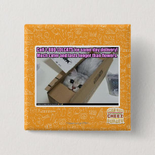 Bóton Quadrado 5.08cm Ligue para 1-800-LOLCATS