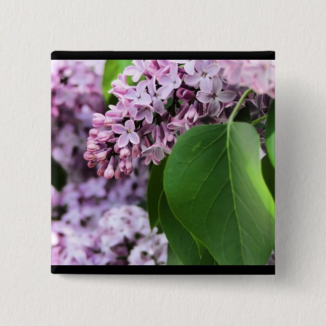 Bóton Quadrado 5.08cm Lilac bonito (Frente)