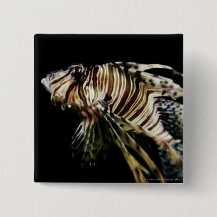 Bóton Quadrado 5.08cm Lionfish