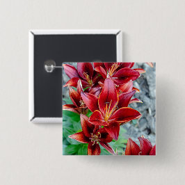 Bóton Quadrado 5.08cm Lírio Botânico Vibrante Vermelho Stargazer Flor