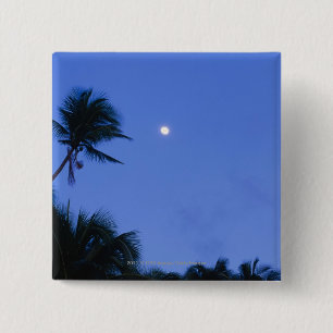 Bóton Quadrado 5.08cm Lua brilhantemente iluminada, silhueta de árvores