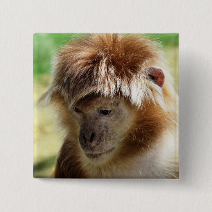 BÓTON QUADRADO 5.08CM MACACOS