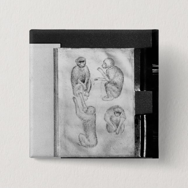 Bóton Quadrado 5.08cm Macacos, do álbum de Vallardi (Frente)