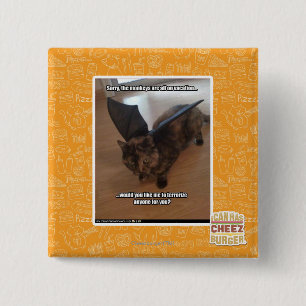 Bóton Quadrado 5.08cm Macacos em férias