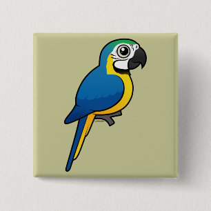 Bóton Quadrado 5.08cm Macaw Azul-e-amarelo