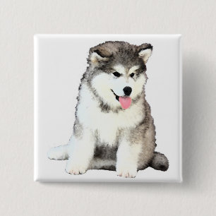 Bóton Quadrado 5.08cm Malamute do Alasca