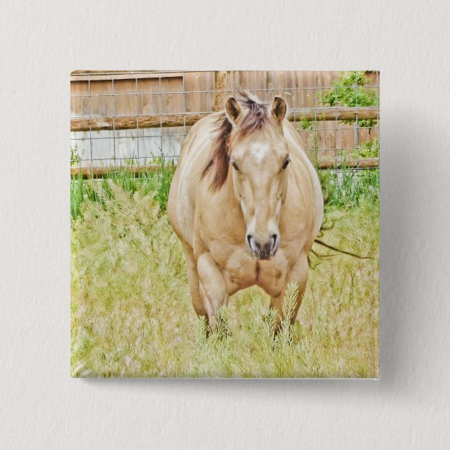 Bóton Quadrado 5.08cm Manhã Preguiçosa (Frente)