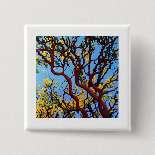 Bóton Quadrado 5.08cm Manzanita no outono