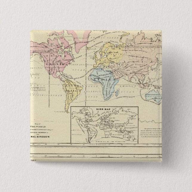 Bóton Quadrado 5.08cm Mapa da cor do Mundo (Frente)
