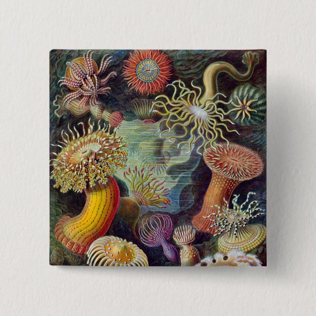 Bóton Quadrado 5.08cm Mar Anêmona Natureza Científica Oceânica (Frente)